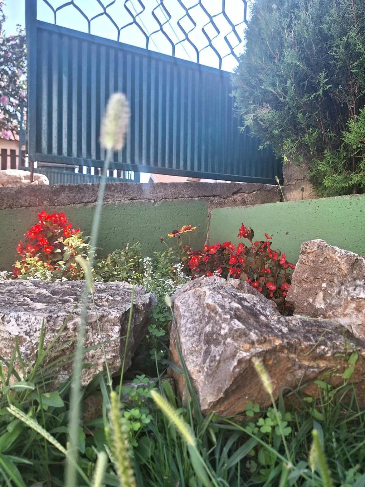 Apartament Bajka Valjevo Zewnętrze zdjęcie
